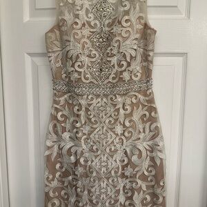 Elegant Tan and Silver Embroidered Dress